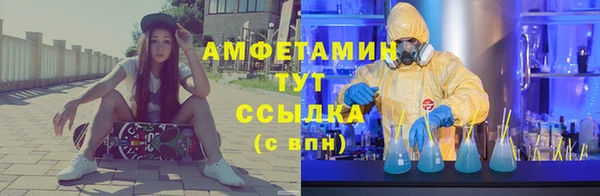 прущие грибы Михайловск