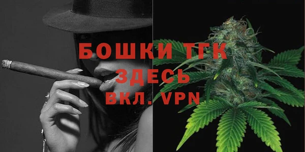 прущие грибы Михайловск