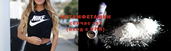 прущие грибы Михайловск
