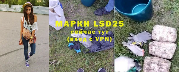 прущие грибы Михайловск