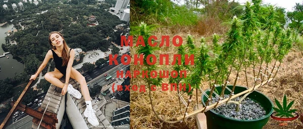 прущие грибы Михайловск