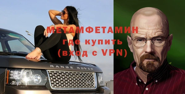 прущие грибы Михайловск