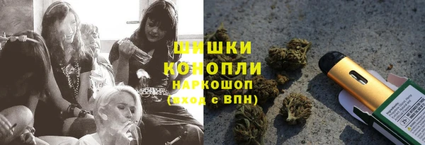 прущие грибы Михайловск